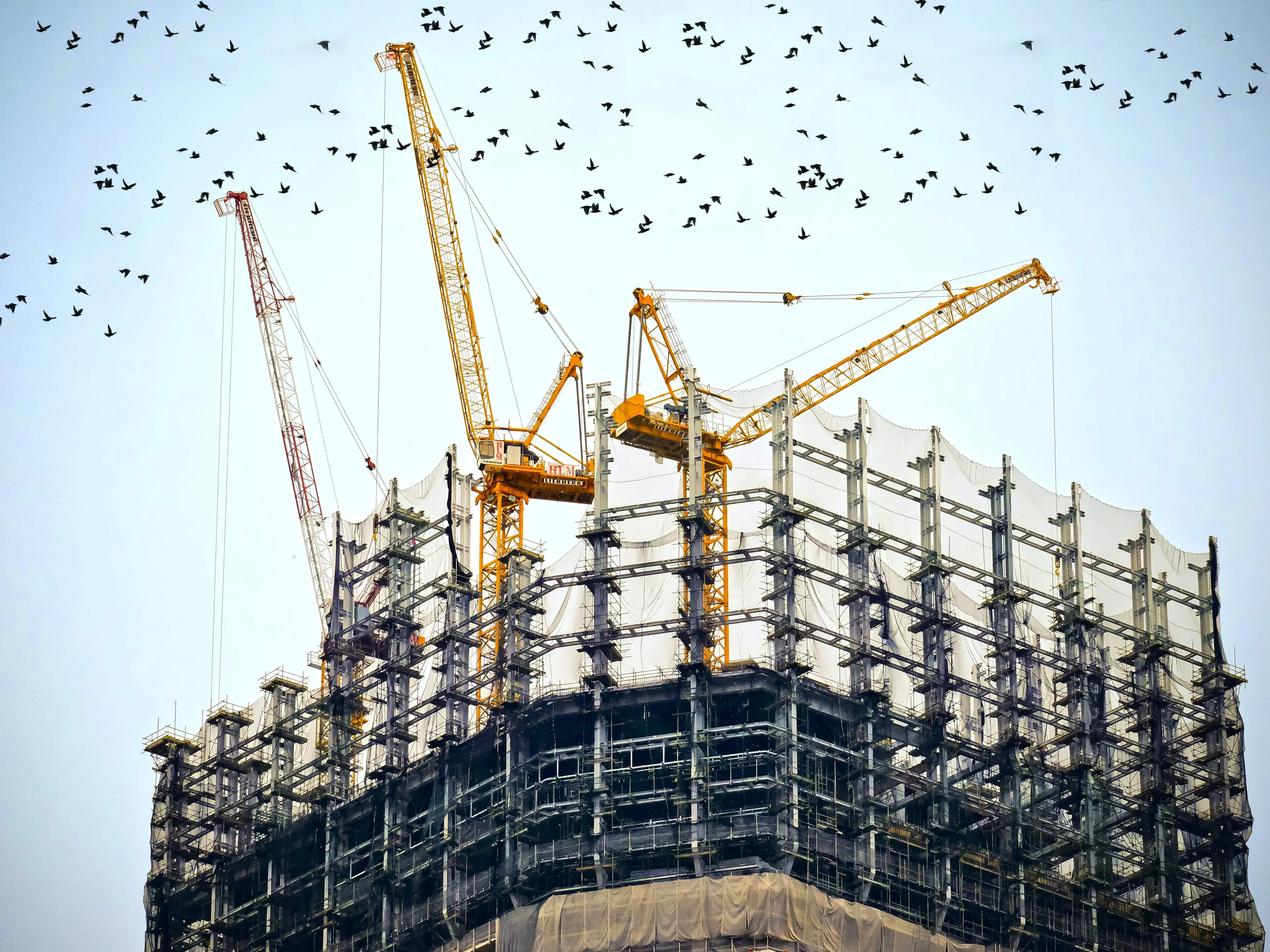 Low angle photography of cranes on top of a building.